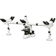 Multi-Head Microscope